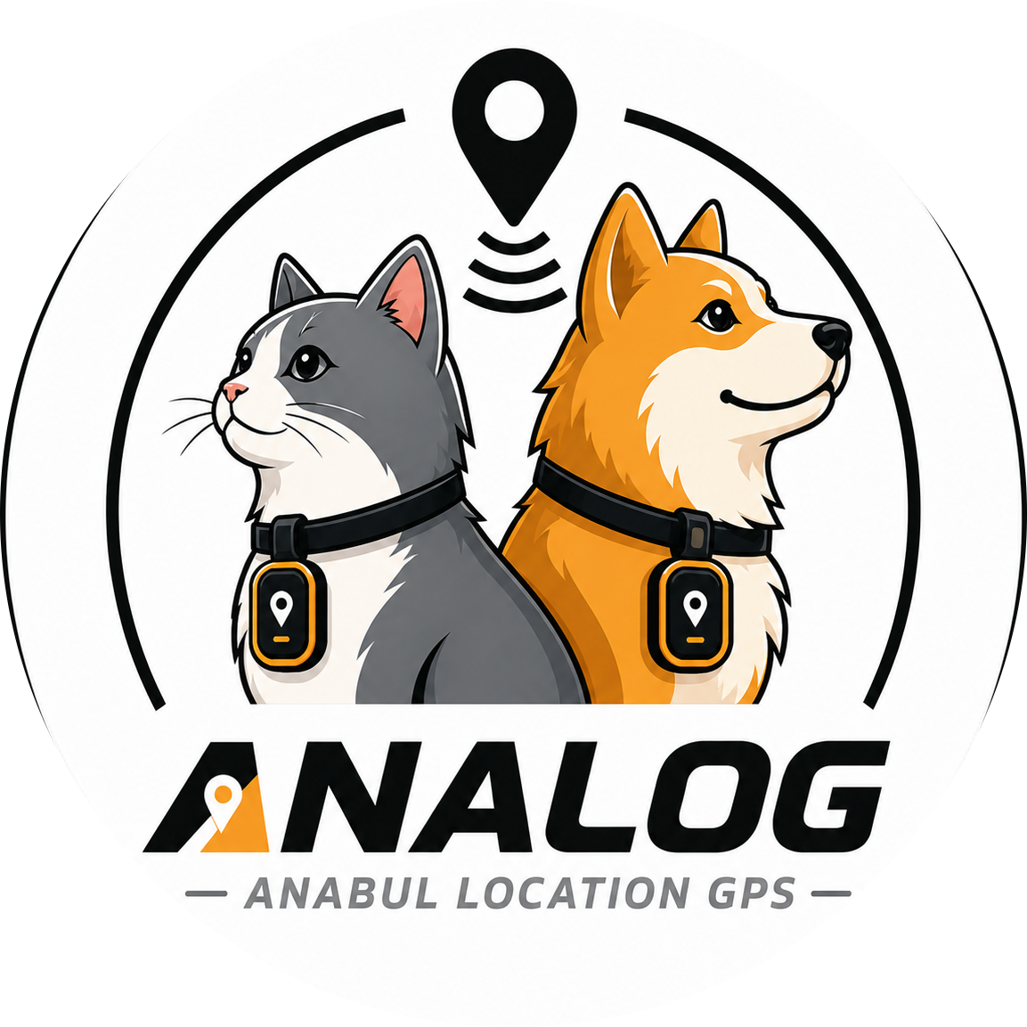 Analog Store